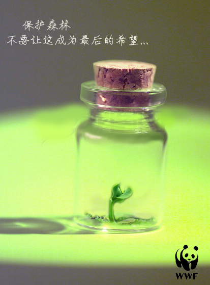 王莹 绿色希望 RGB.jpg