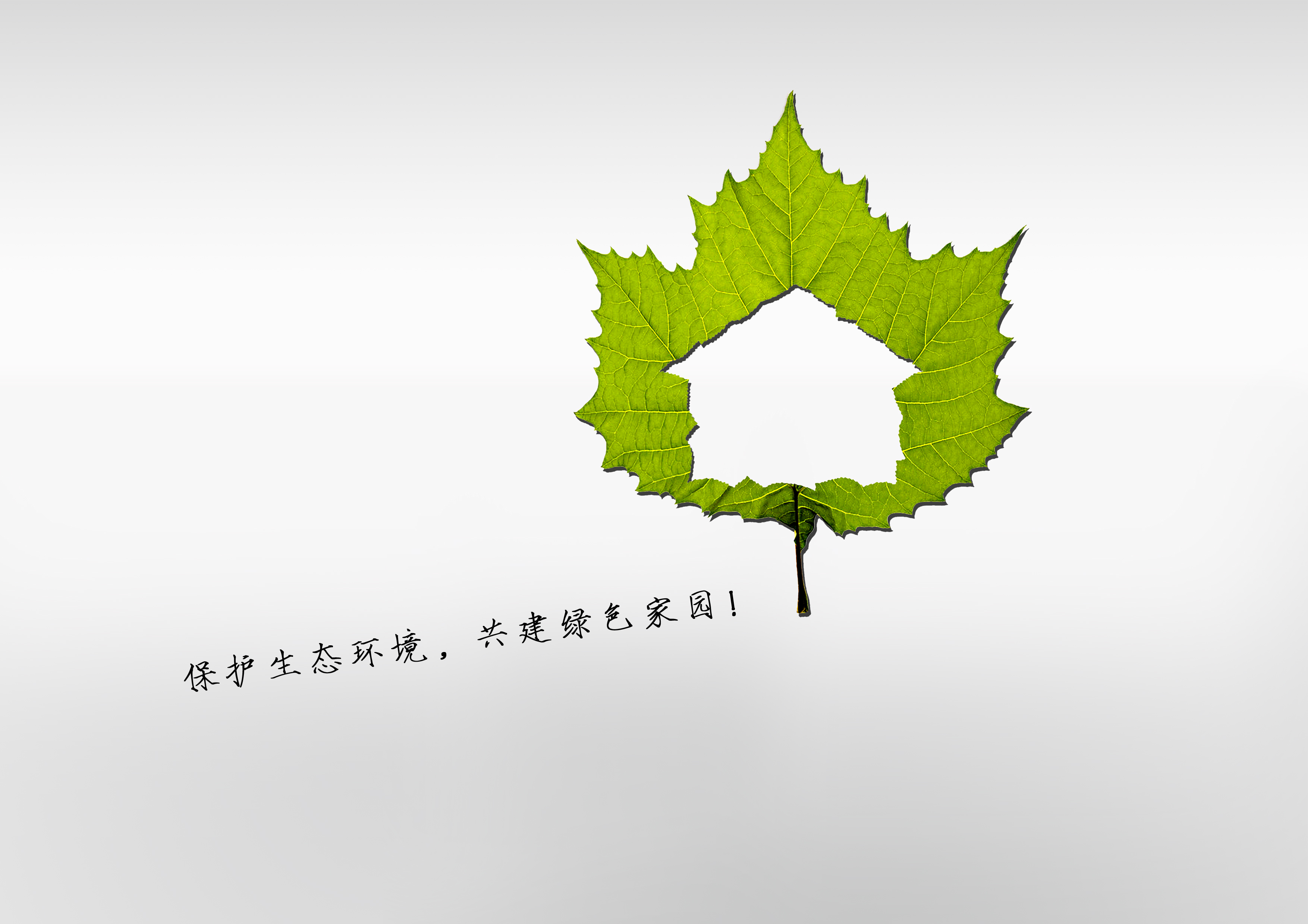 绿色家园 RGB.jpg