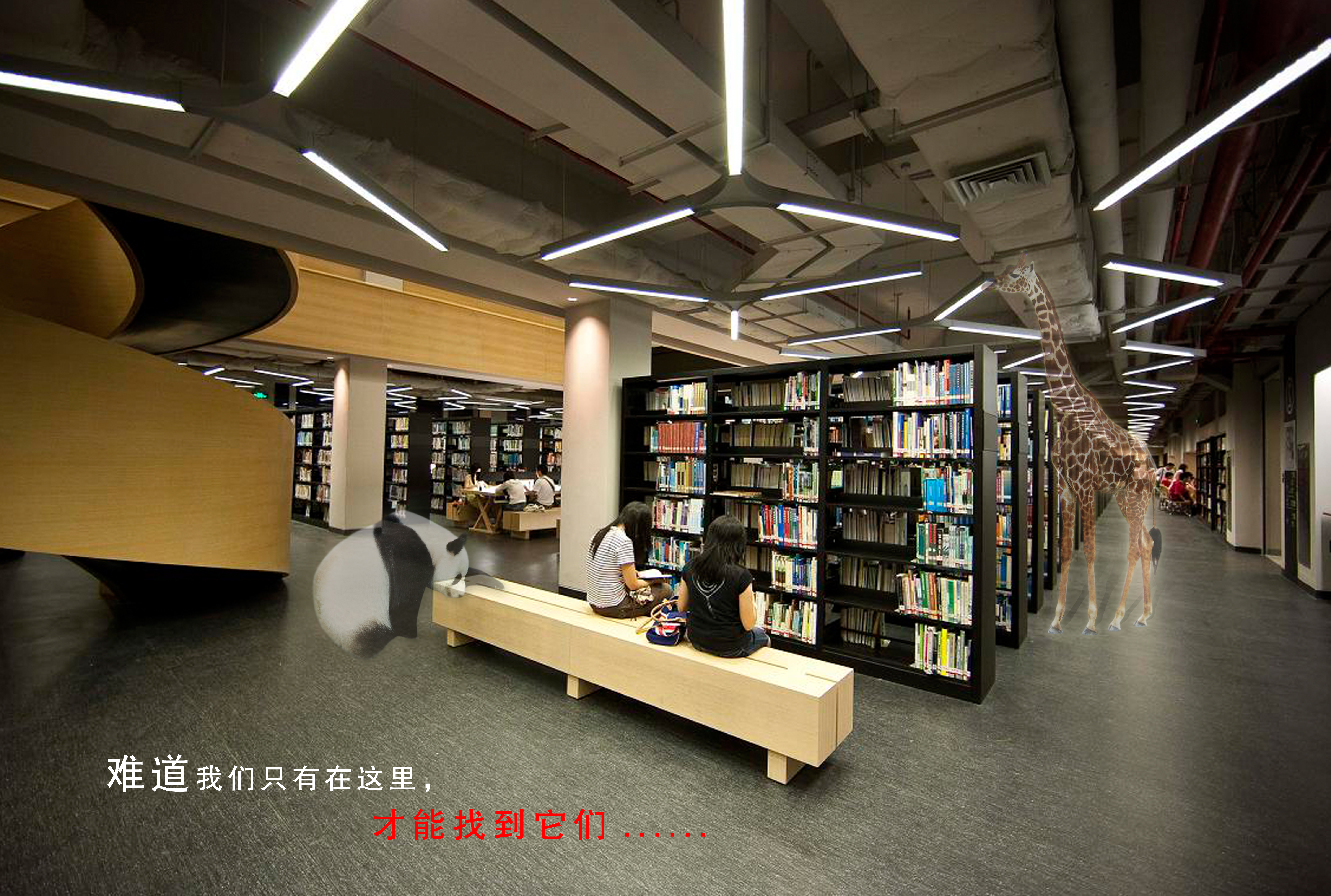 《原来你们在这里》-图书馆篇+RGB.jpg