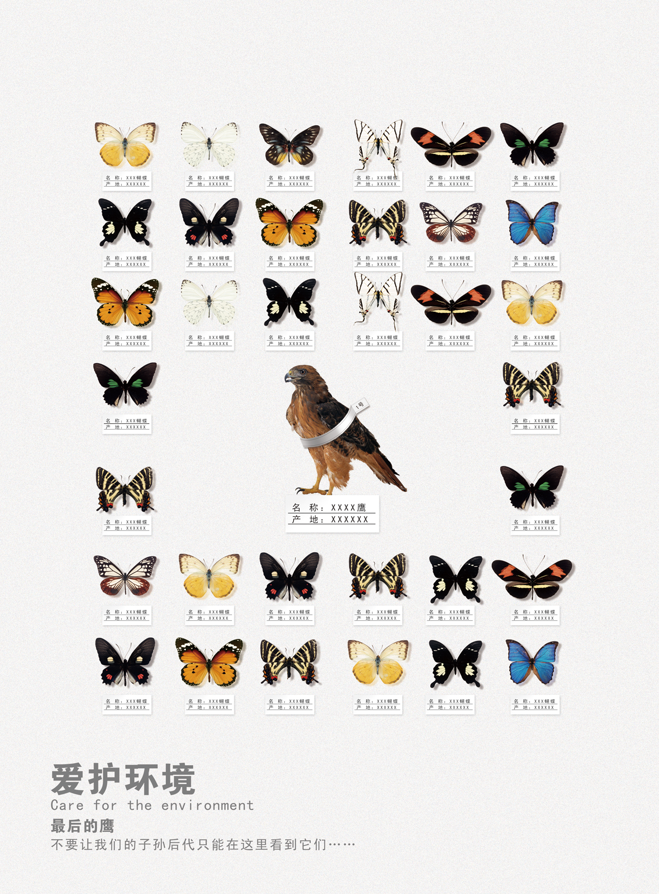 最后的鹰-RGB.jpg