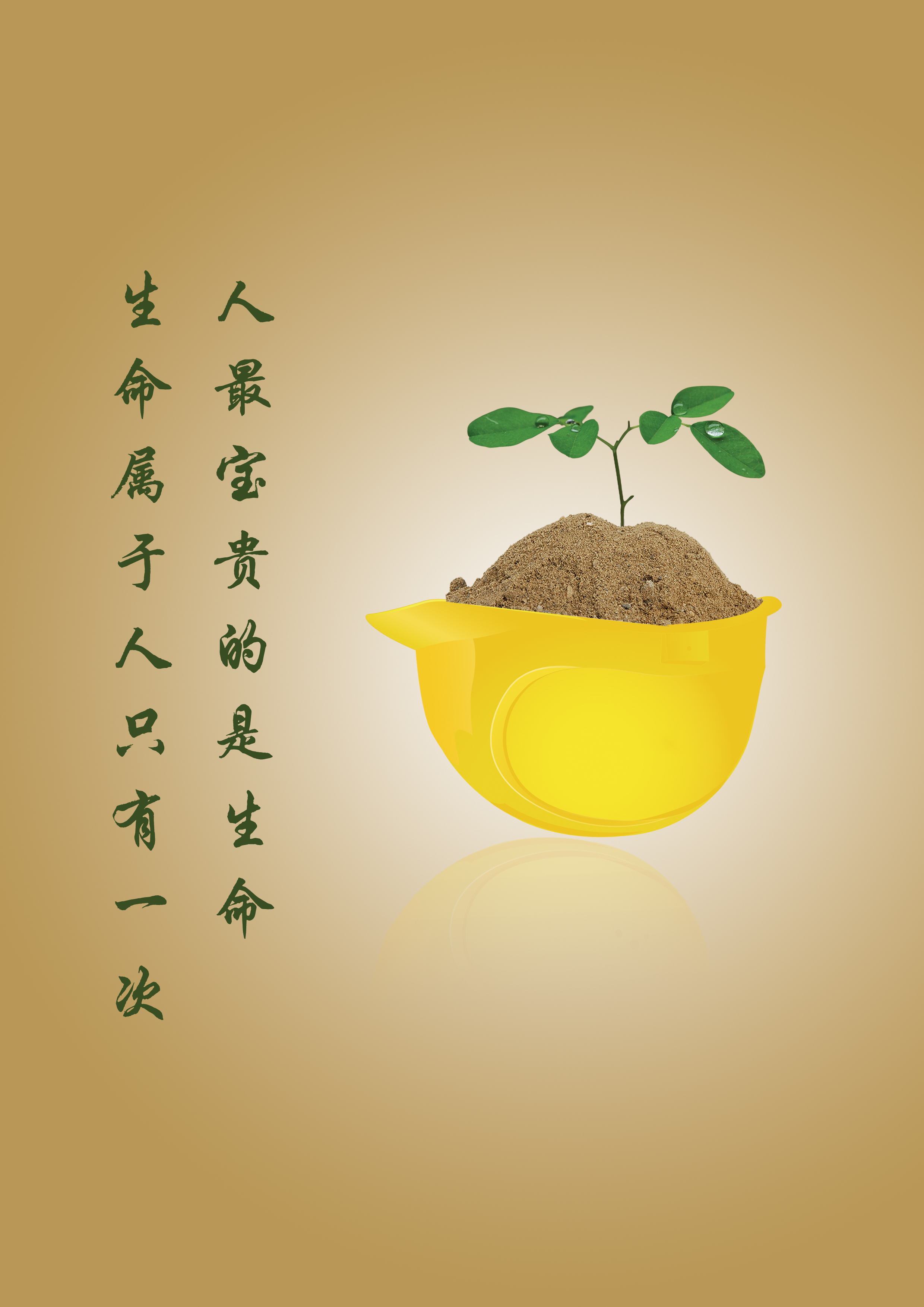 生命安全+RGB.jpg