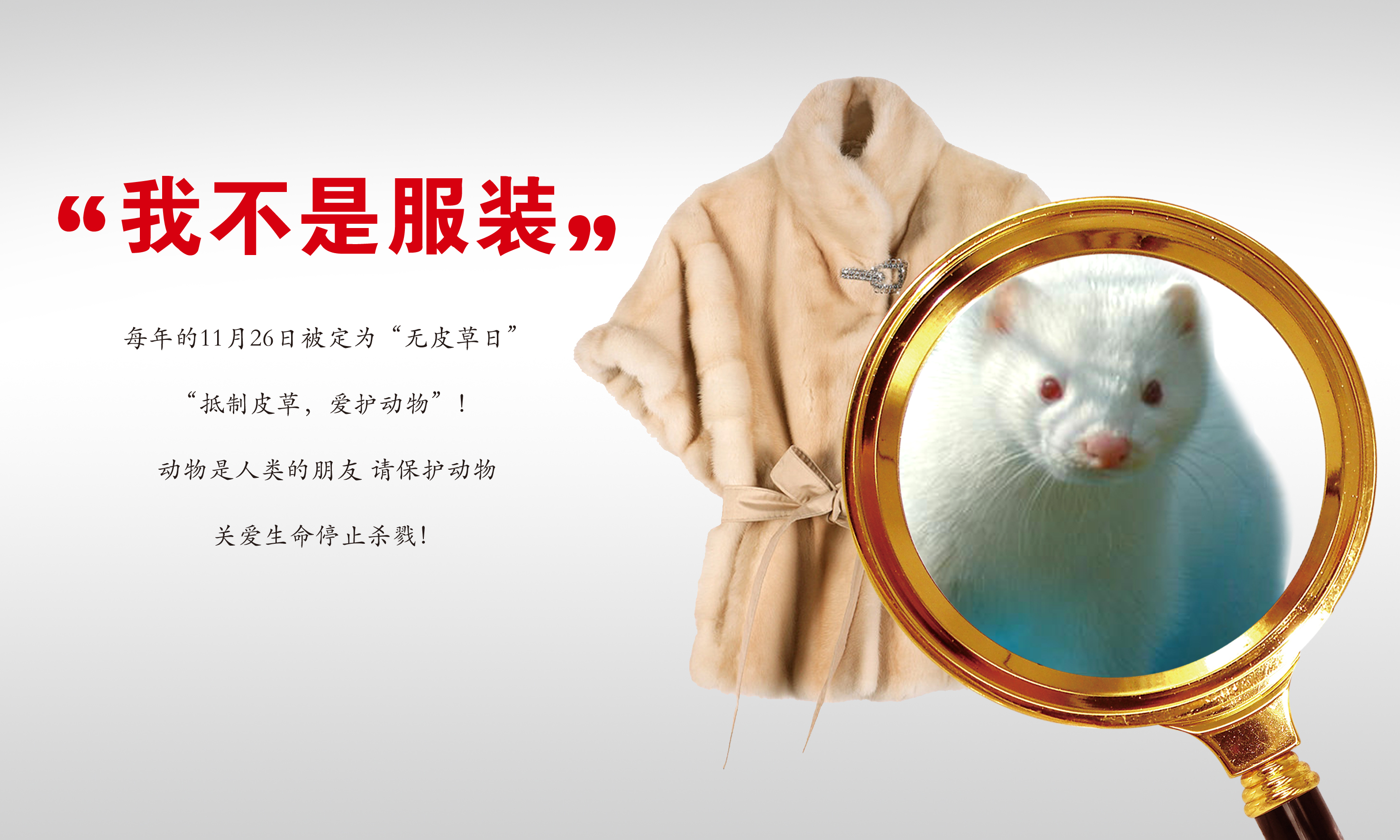 我不是服装RGB.jpg