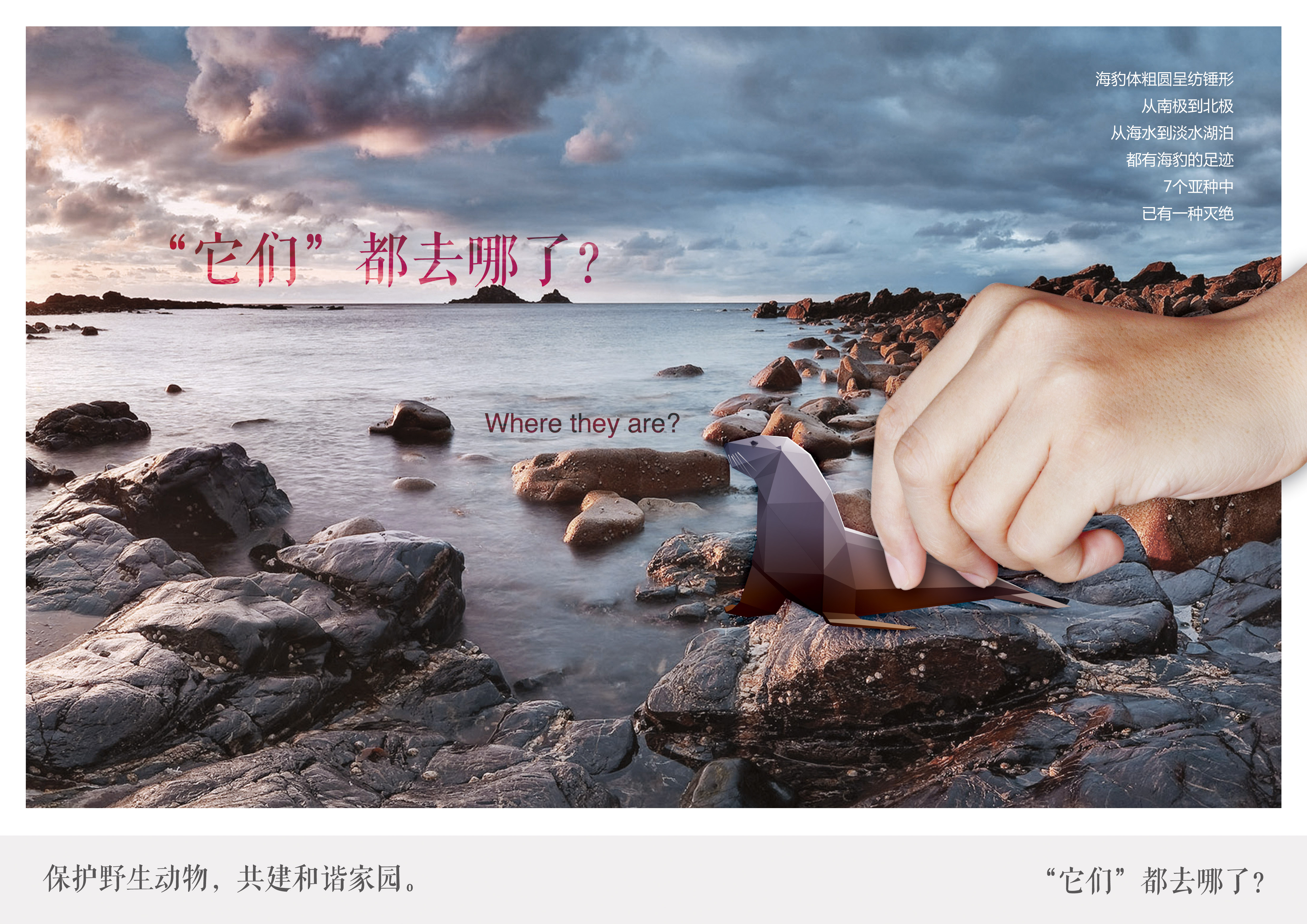 《保护动物系列（海豹篇）》RGB.jpg