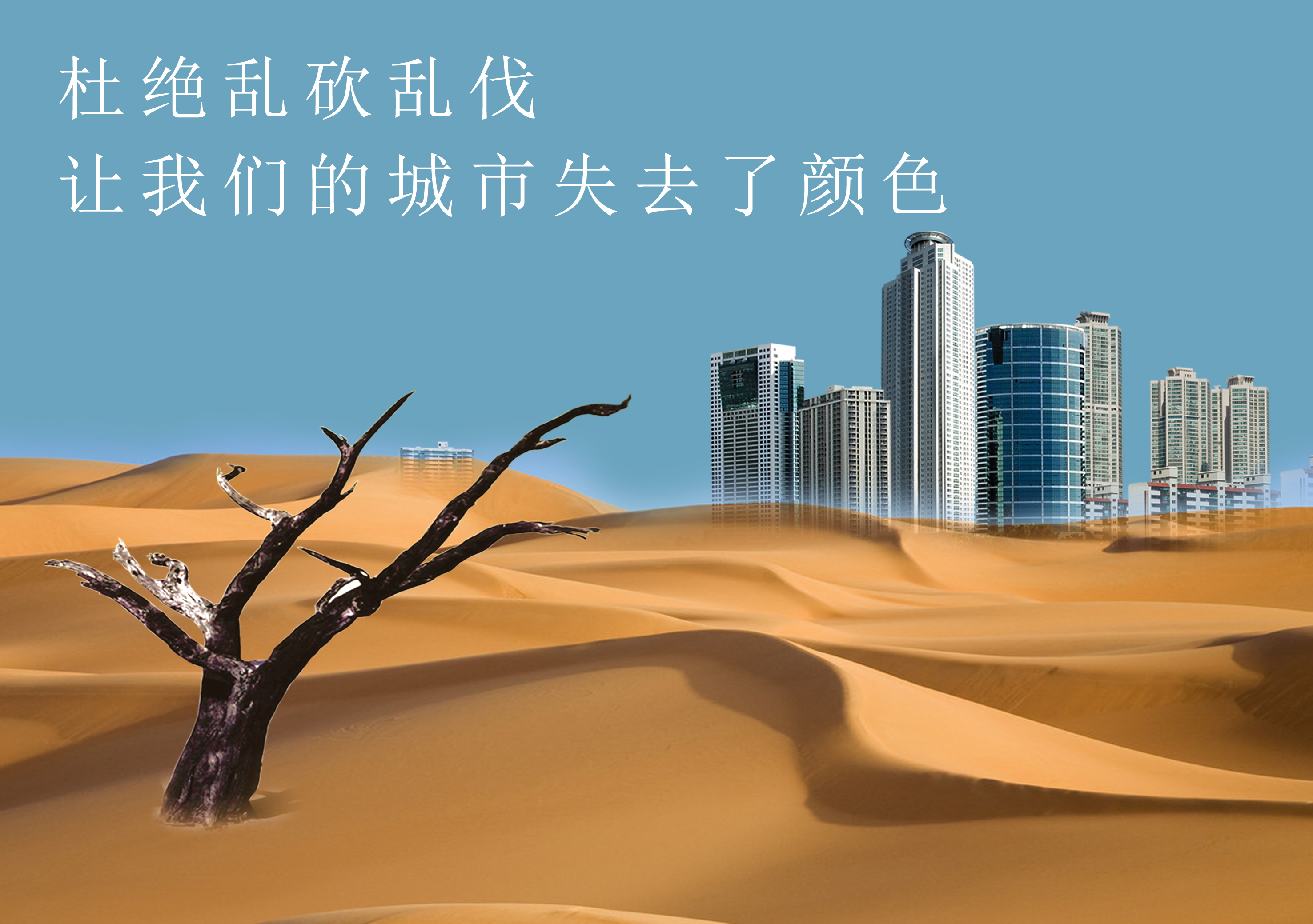 砍伐+RGB.jpg