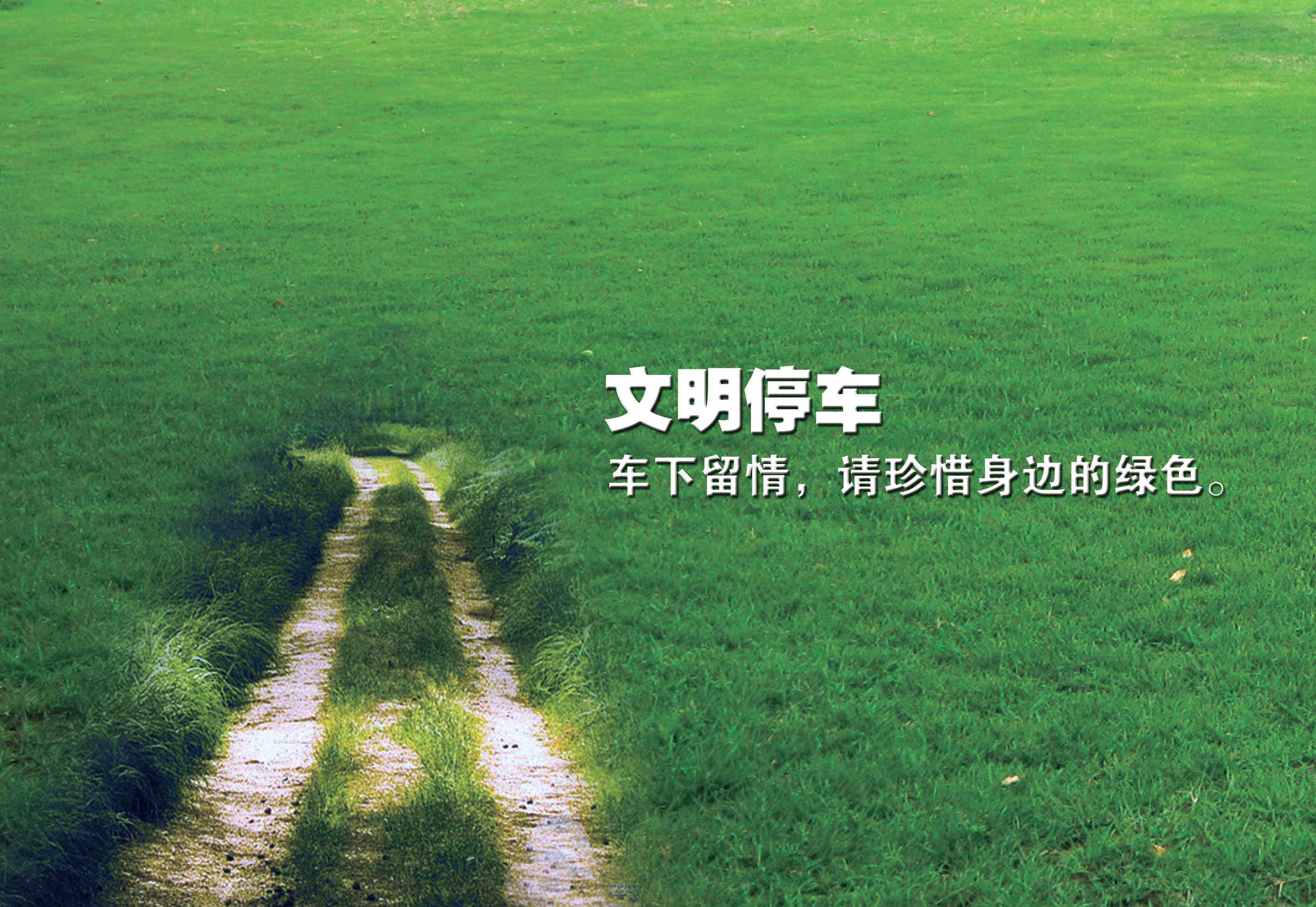 文明停车 RGB.jpg
