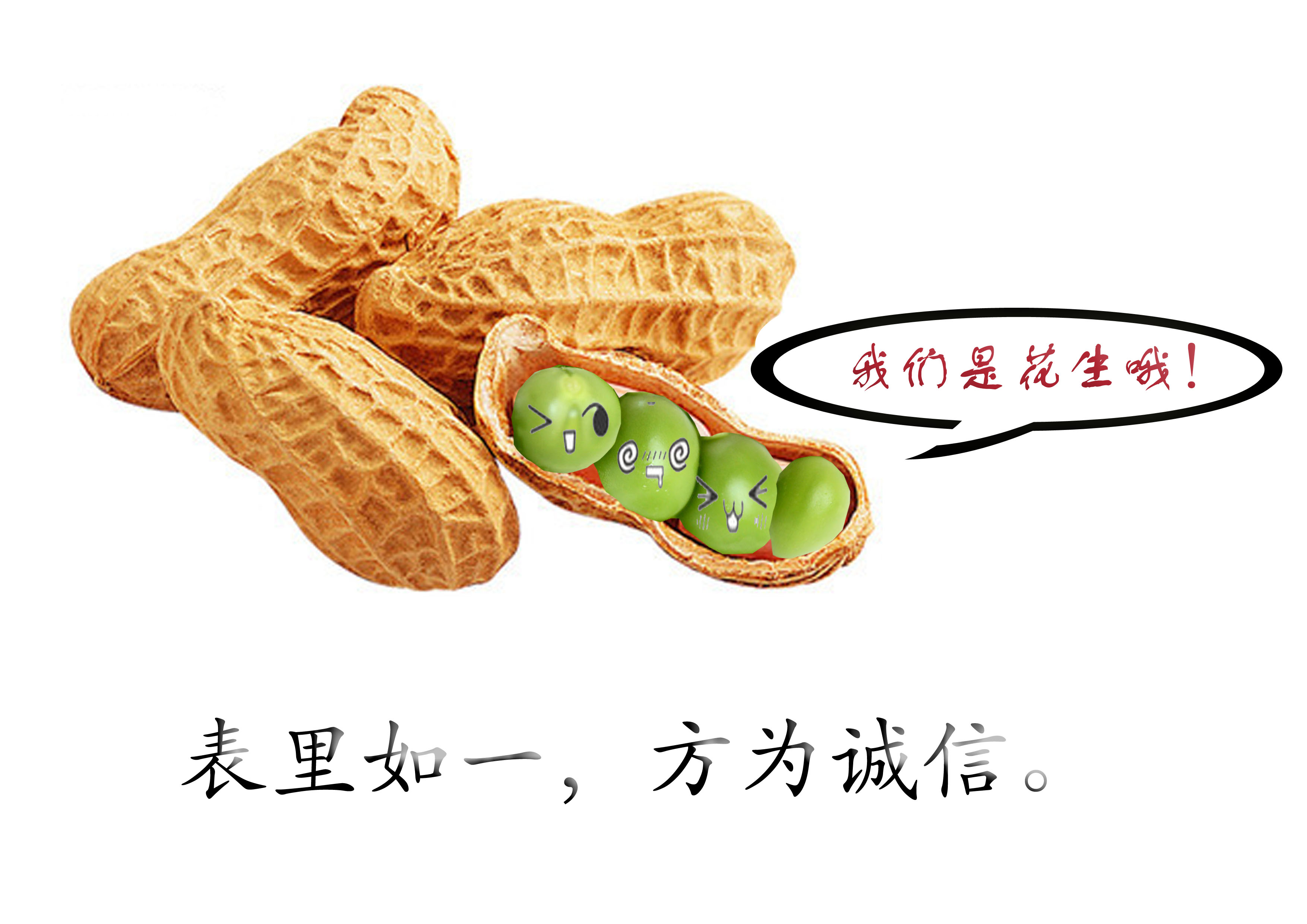 表里如一，方为诚信(RGB).jpg