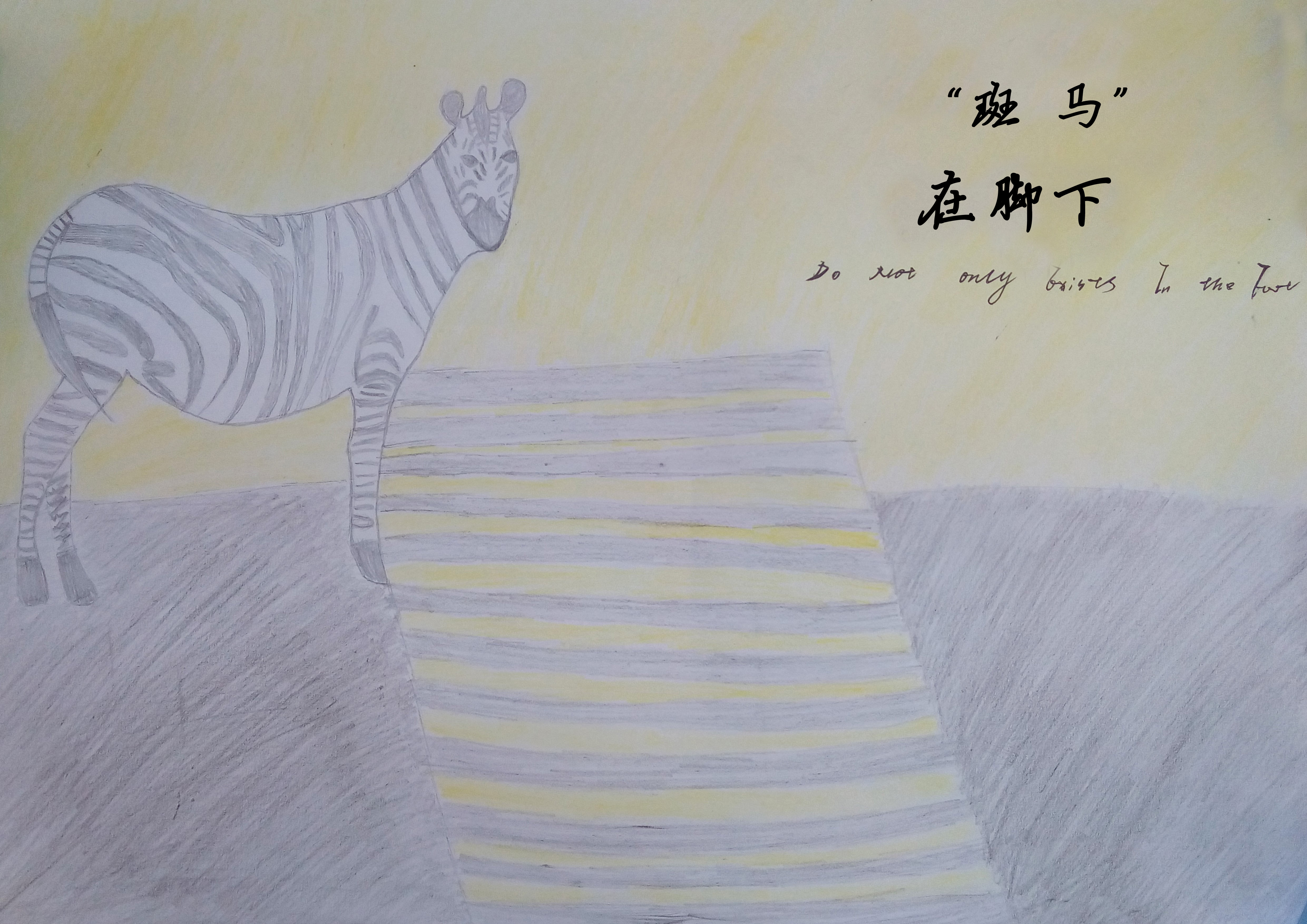 斑马在脚下RGB.jpg