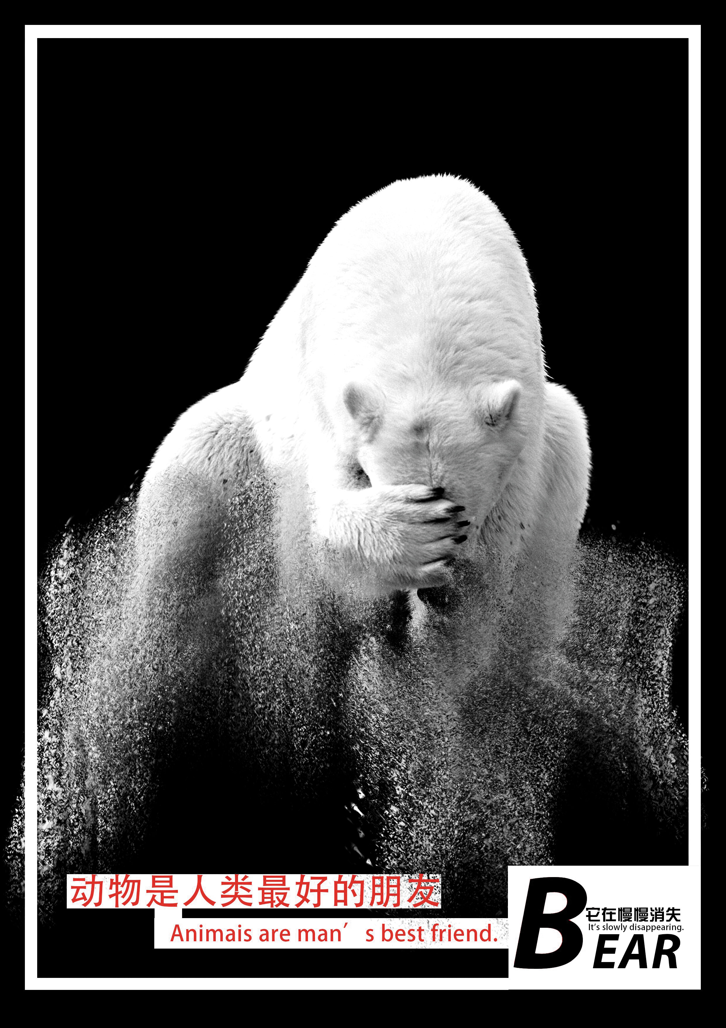 保护北极熊的宣传语言图片