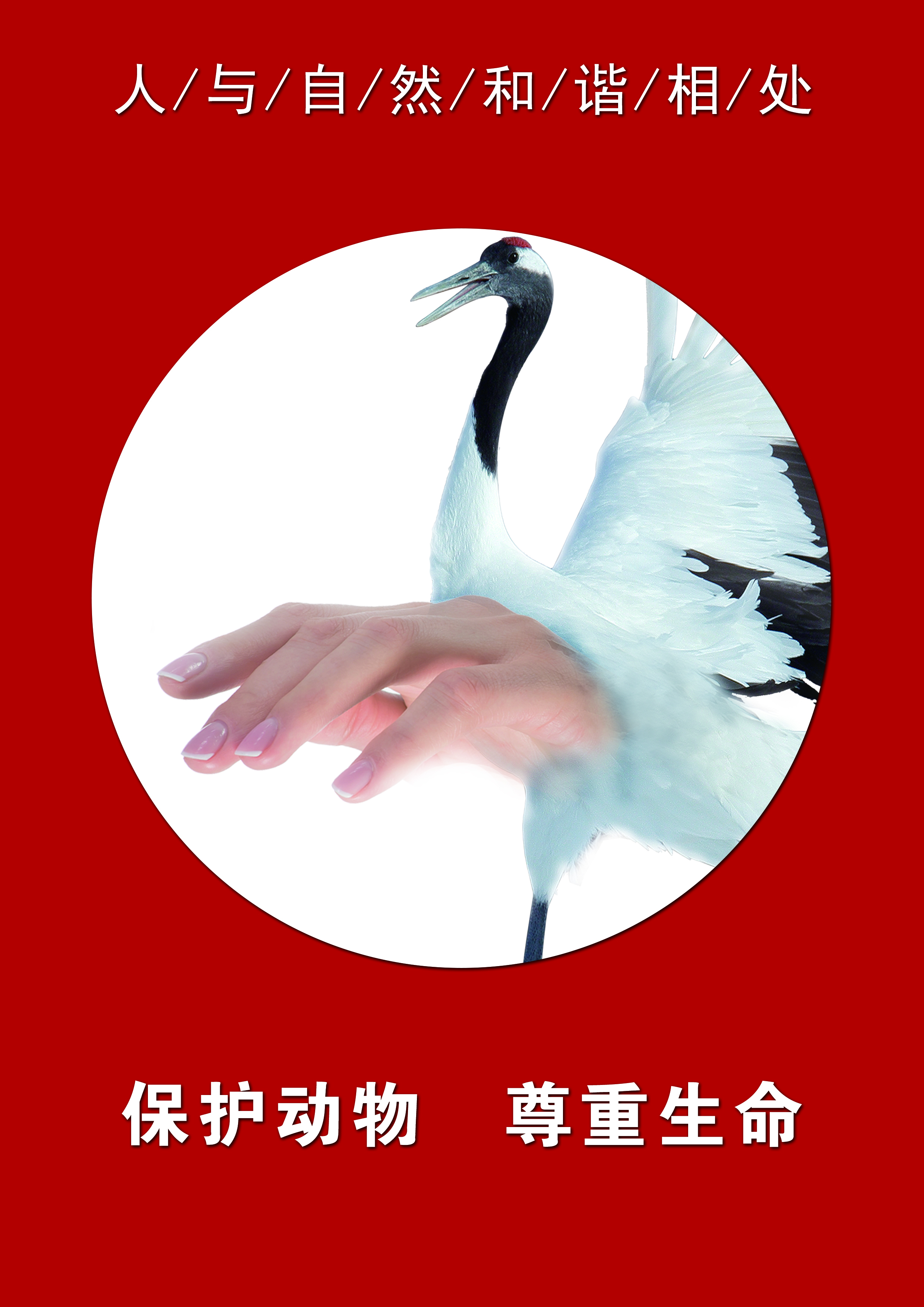 丹顶鹤CMYK.jpg