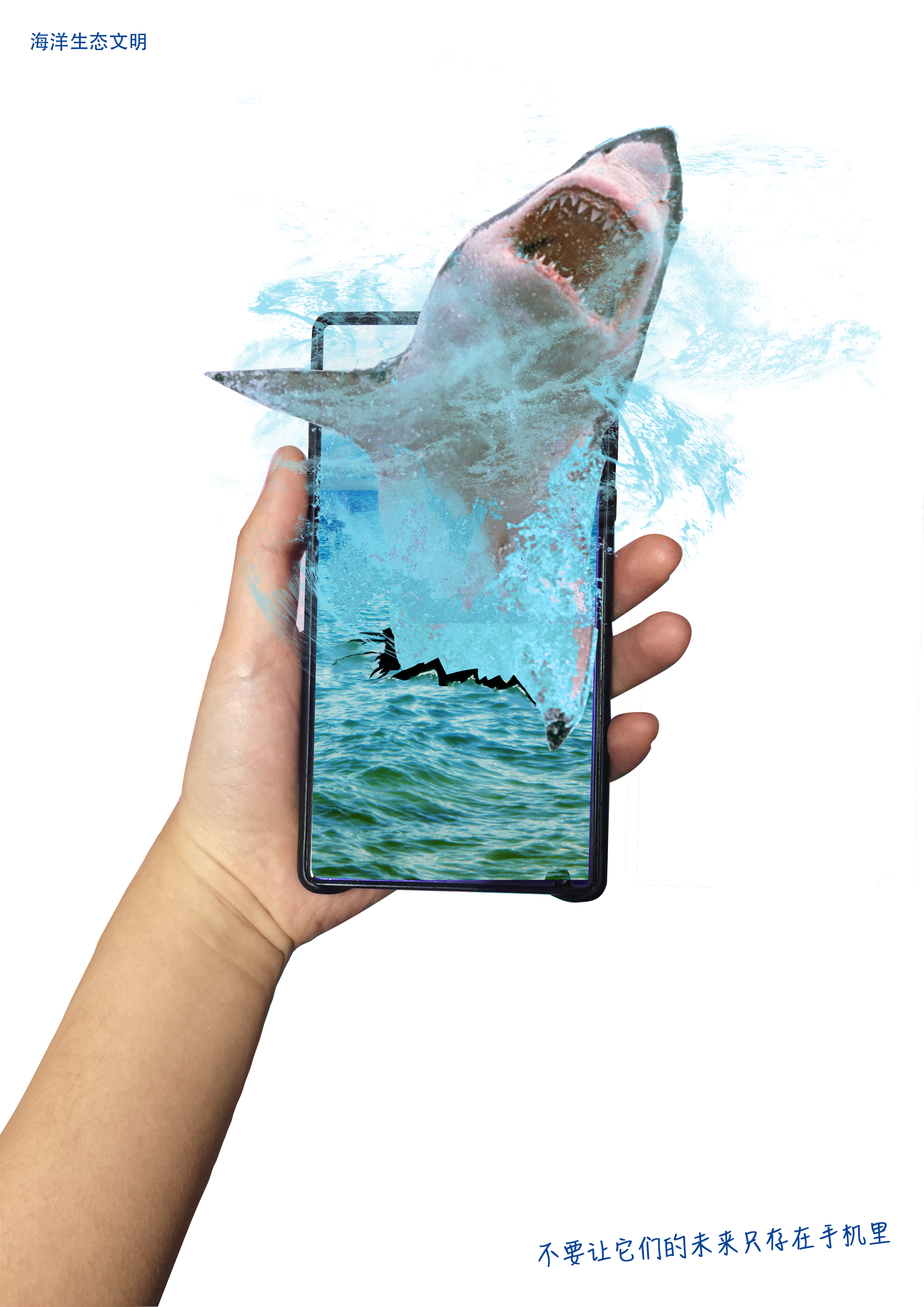手机外的海洋1.jpg